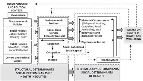 A Conceptual Framework Of Social Determinants Of Health Solar And Irwin