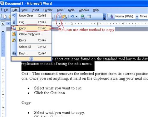 introduction to microsoft word using the cut copy and paste tools hubpages