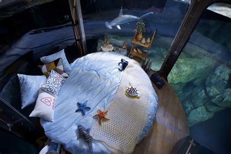 Check spelling or type a new query. Sleep with the fishes: Airbnb offering customers 360 ...