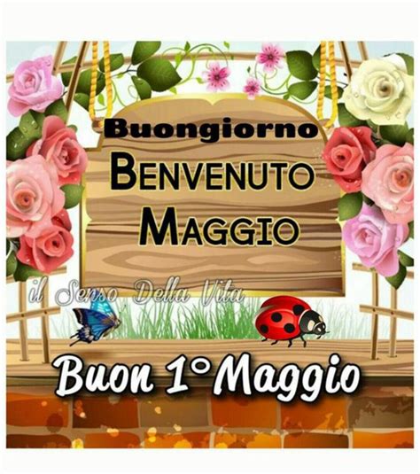 Visualizza altre idee su festa dei lavoratori, immagini, buongiorno immagini. Buongiorno e Buon Primo Maggio 5 - BellissimeImmagini.it