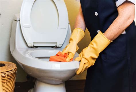 Septic Toilet Cleaning Recipe Lees Environmental