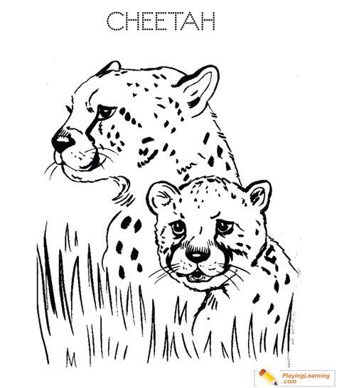 Cheetah Coloring Page 04 Free Cheetah Coloring Page