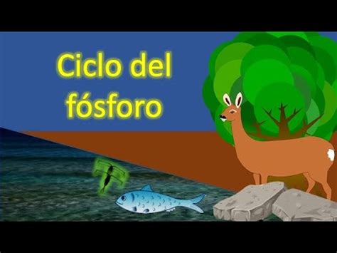 Deterrent sprays also help with undesired behaviors. Ciclo del Azufre | Doovi