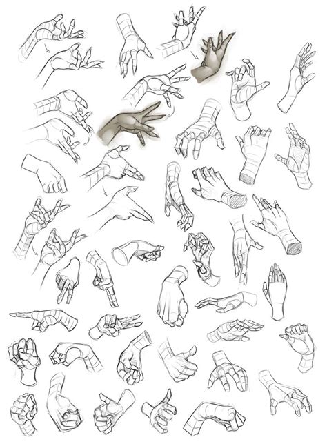 Pin By D R On Anatomy Hands Art Reference Drawing Tutorial Drawings