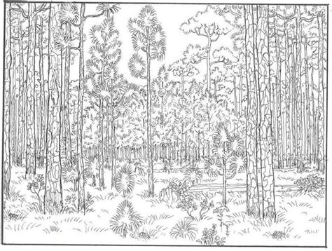 Download Coloring pages for adults: Plants, printable, free to download, JPG, PDF