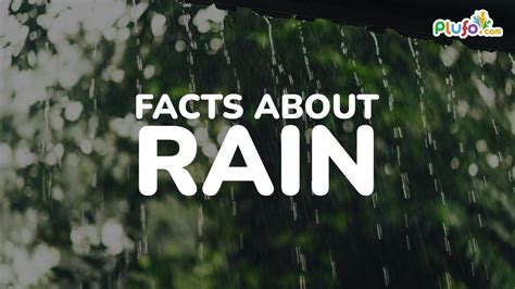 Interesting Facts About Rain Youtube
