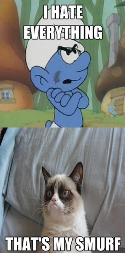 The Smurf And The Grumpy Cat Dailyfunfeed Funny Grumpy Cat Memes