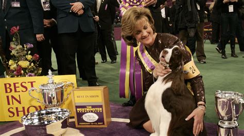 13 Behind-the-Scenes Secrets of Dog Show Handlers | Mental Floss