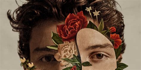 Shawn Mendes Shawn Mendes Album Review Pitchfork
