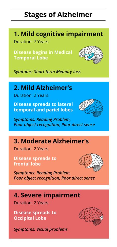 What Are The 4 Stages Of Alzheimer And Their Effects Circlecare