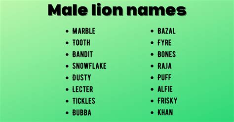 200 Lion Names That Are Cute Cool And Badass