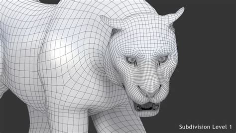 3d White Tiger Animation Turbosquid 1444091