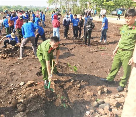 Cây lưỡi hổ bán ở đâu hà nội. Tổ chức trồng cây đời đời nhớ ơn Bác Hồ - Báo Đắk Lắk điện tử