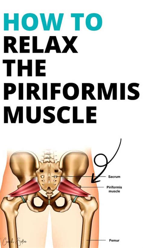How To Relax The Piriformis Muscle Agencypriority21