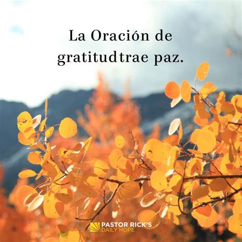 Las Oraciones De Gratitud Traen Paz Pastor Ricks Daily Hope