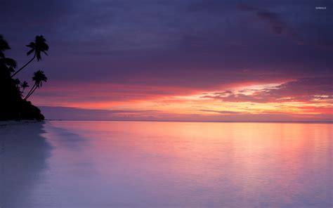 Purple sunset at white sandy beach wallpaper - Beach wallpapers - #46119