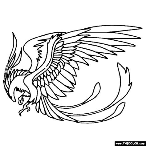 Phoenix Bird Drawings Color