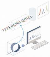 Use Of Gc Ms In Forensic Science