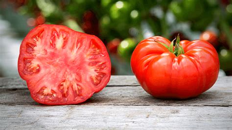 How To Grow Beefsteak Tomatoes In Pots Slick Garden