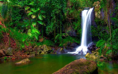 Tropical Rainforest Waterfalls Wallpaper