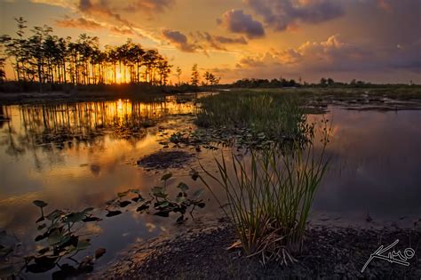 Sunset At Loxahatchee Slough Wetlands Area Hdr Photography By Captain