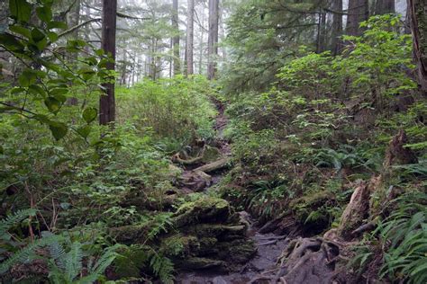 Testing Your Limits On Vancouver Islands West Coast Trail The Globe