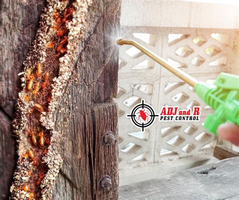 Simple Ways To Proof Your House Against Termites Adj And R Pest