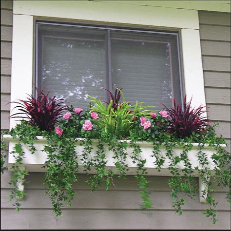 Best plants for window boxes / site give you lots of info; Pin on Landscaping