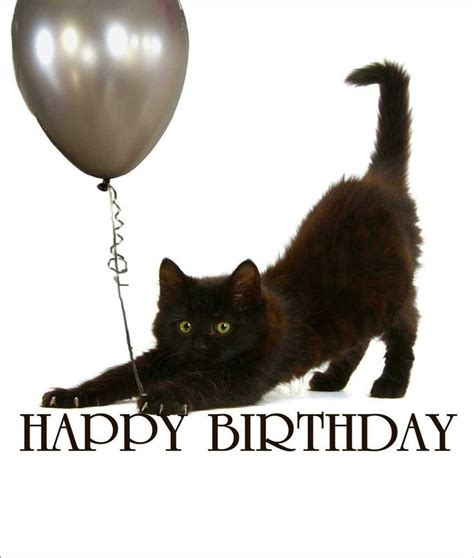 Black Cat Happy Birthday Kitten Card Greeting Card Cat Lovers Glitter