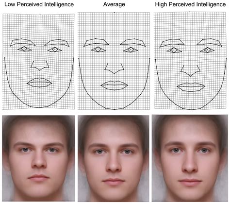 Faces And Male Intelligence Askmen