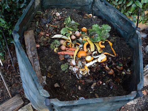 Tips And Information About Composting Basics Gardening Know How