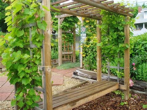 Maybe you would like to learn more about one of these? Nice arbor bench design! The grapes on this arbor where ...