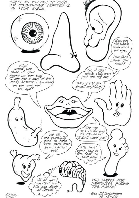 Body Parts Coloring Pages For Toddlers