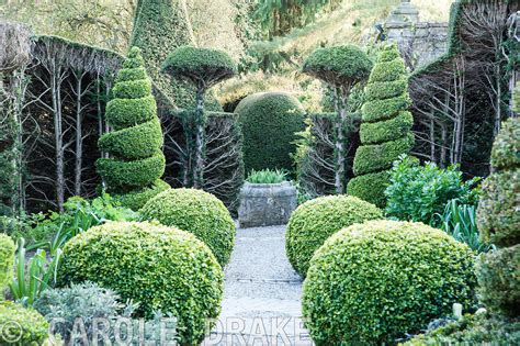 Carole Drake Clipped Box And Yew Topiary In The Herb Garden Where