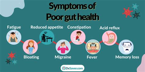 Gut Health Test Symptoms Health Conditions And Test Cost