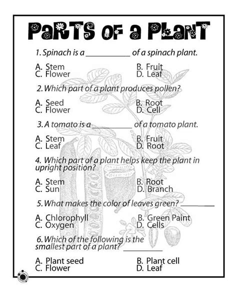 Free Printable Worksheets For Grade 2 Science
