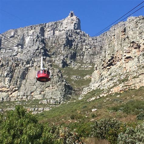 Cape Tours And Adventures Bellville All You Need To Know Before You Go