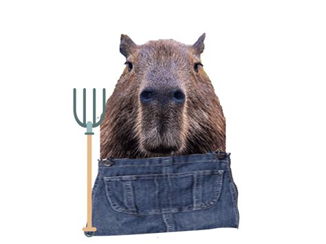 I Made Capybaras With Different Jobs Or Costumes Rcapybara