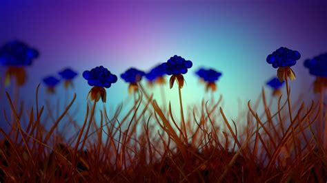 Wallpaper 1920x1080 Px Blue Flowers Depth Of Field Nature Plants