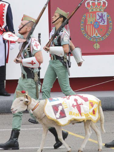 La historia de la cabra de la Legión Española - Bekia Mascotas