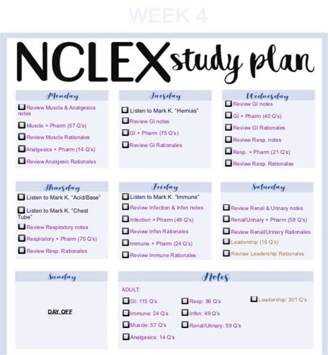 Nclex Study Plan Blue Etsy