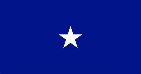 Bandeira De Um General De Brigada Da Força Aérea Dos Estados Unidos
