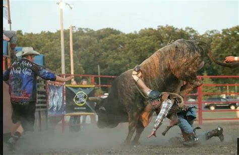 Bullriding Picture Image Abyss