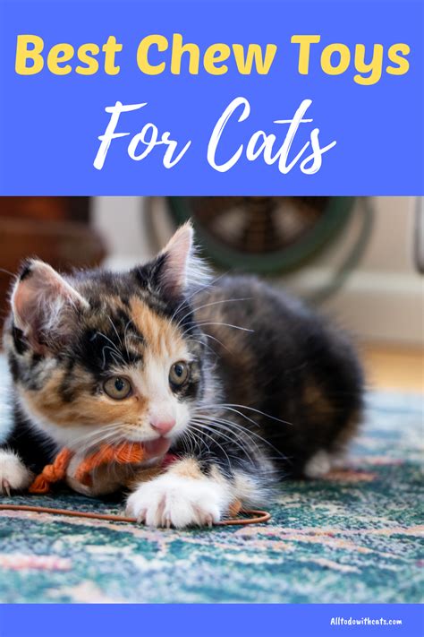 Best Cat Chew Toys And Why Your Kitty Needs One Cat Toys Cats Cool Cats