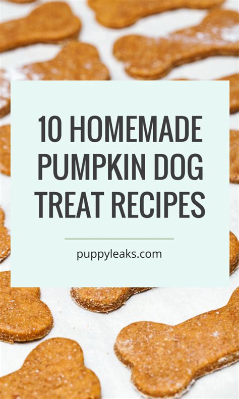 10 Homemade Dog Treat Recipes Made With Pumpkin Puppy Leaks