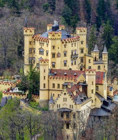 Hohenschwangau Castle Bavaria Germany Castelli