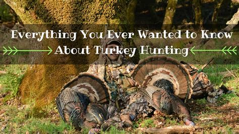Everything You Ever Wanted To Know About Turkey Hunting