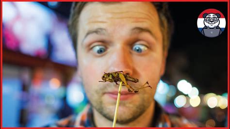 Heerlijk Insecten Eten De 10 Lekkerste Insecten Om Te Eten Youtube