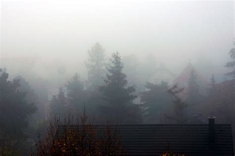 Nebelwand Herbst Lizenzfreie Bilder Kostenloser Support Piqza De