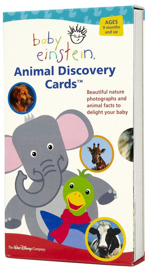 Baby Einstein World Animal Adventure Opening Guwrl